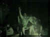 Domi's 33 008.jpg (87289 Byte)