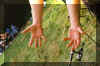 f1000002.jpg (288857 Byte)