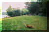 f1000005.jpg (342289 Byte)