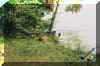 f1000026.jpg (373208 Byte)